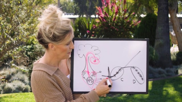 S2: With All Your Heart (Relaxed)