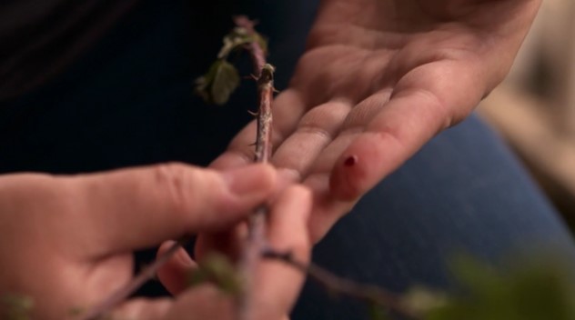 He Chose the Nails, Session 1: He Chose to Be One of Us