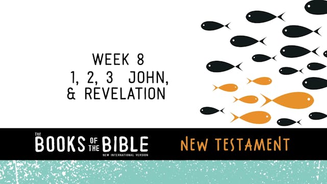 New Testament - Week 8 - 1, 2, 3 John...