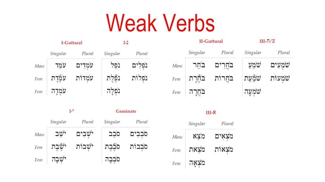 Basics of Biblical Hebrew Video Lectures, Session 22. Qal Participle