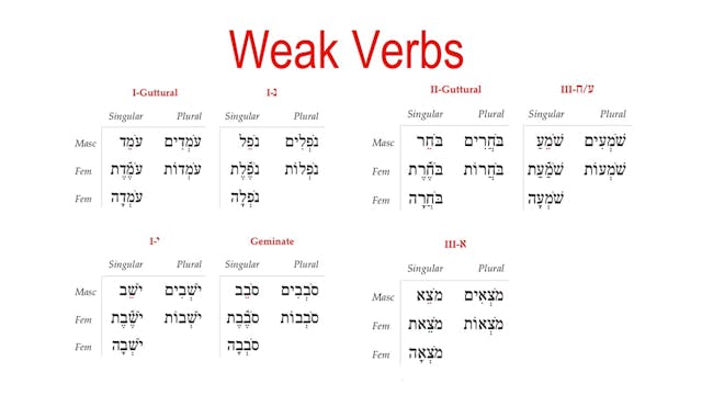 Basics of Biblical Hebrew Video Lectures, Session 22. Qal Participle
