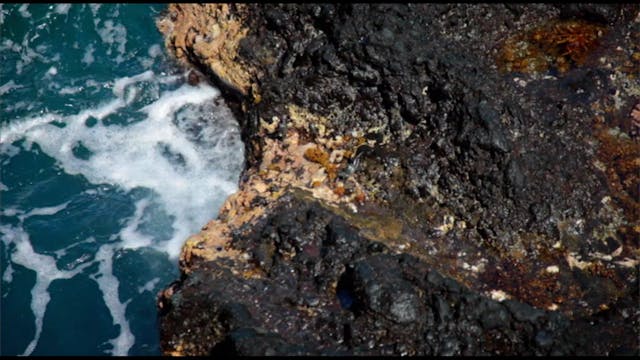 Ocean Adventures, Vol. 2 - Tide Pools...