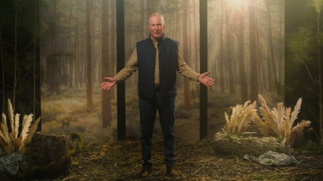 S3: The Rescue and the Rewards (What ...