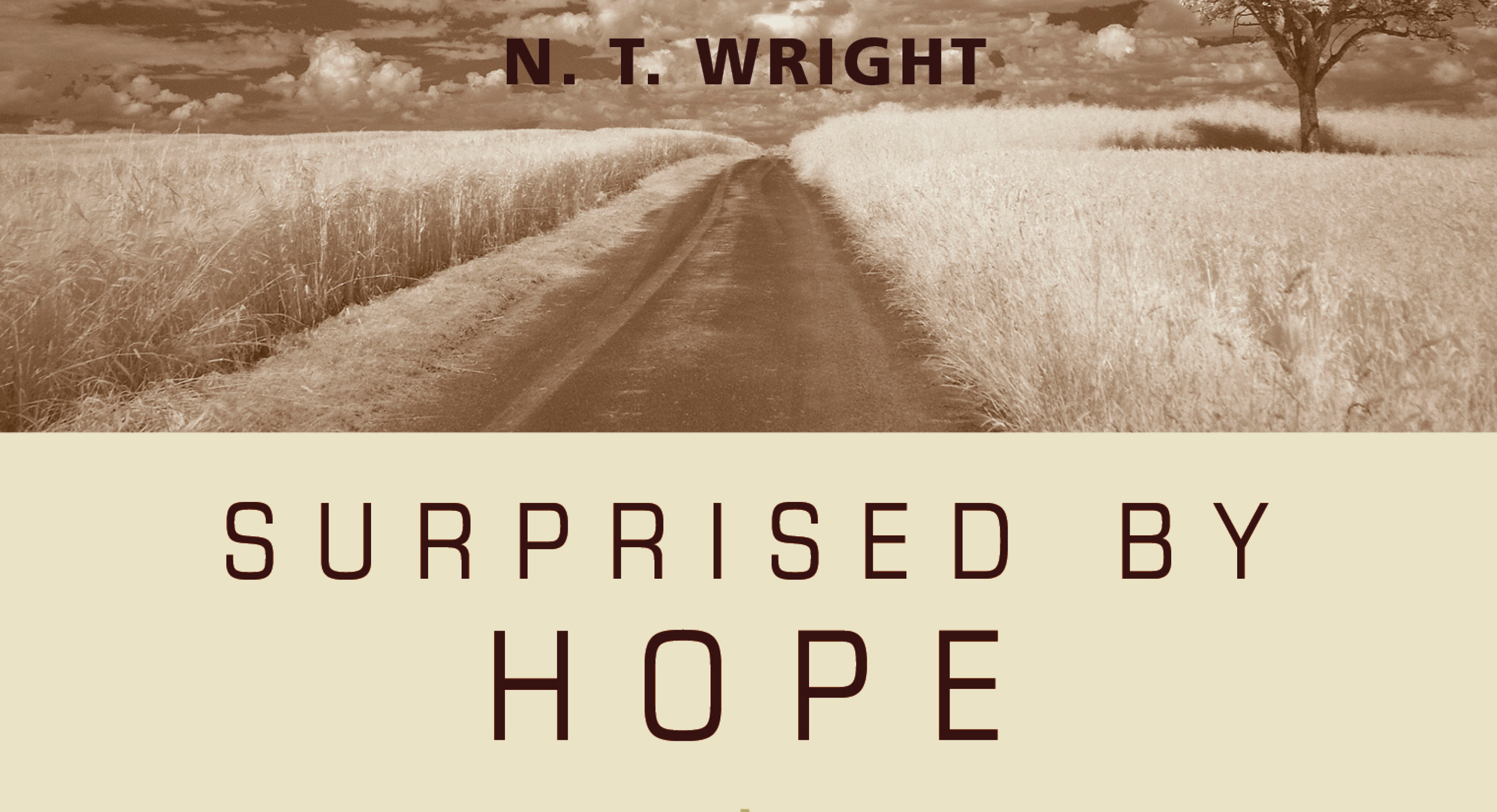 Surprised by Hope by N.T. Wright