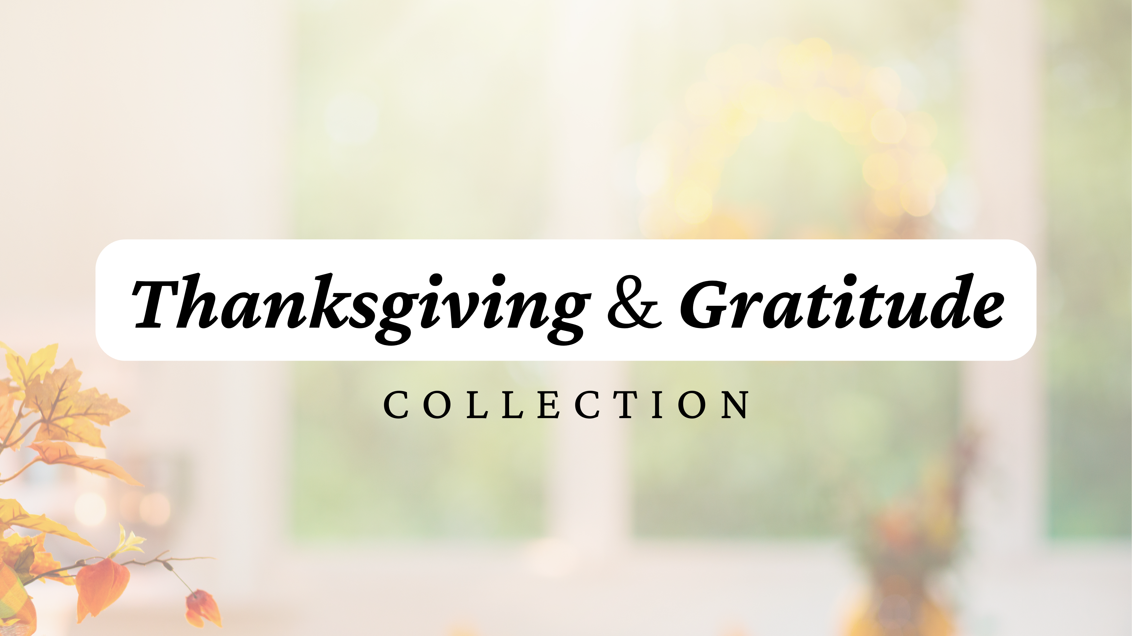 Thanksgiving Studies