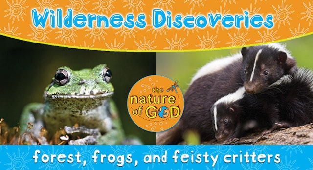 The Nature of God: Wilderness Discoveries Vol 2 - Forest, Frogs, Feisty Critters