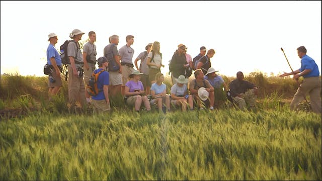 God Heard Their Cry, Session 2, Israel in Bondage: God Heard Their Cry