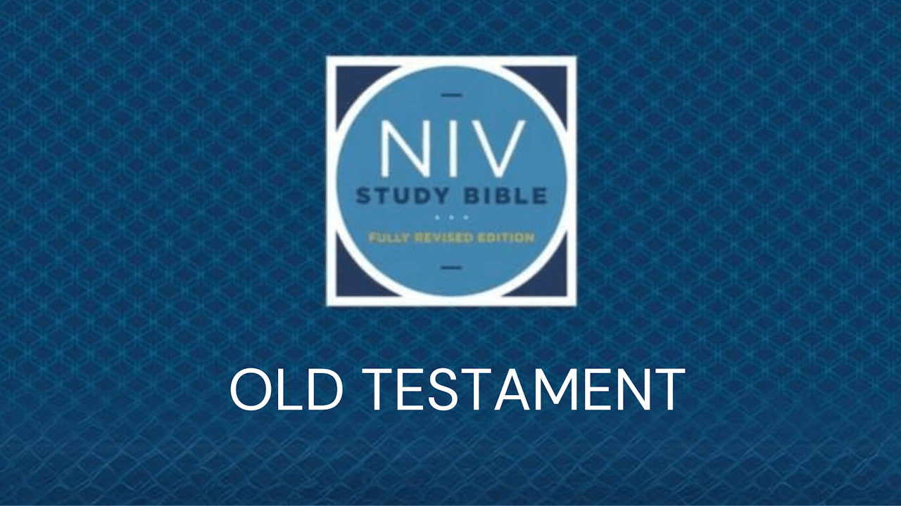 NIV Study Bible - Old Testament Bonus Videos