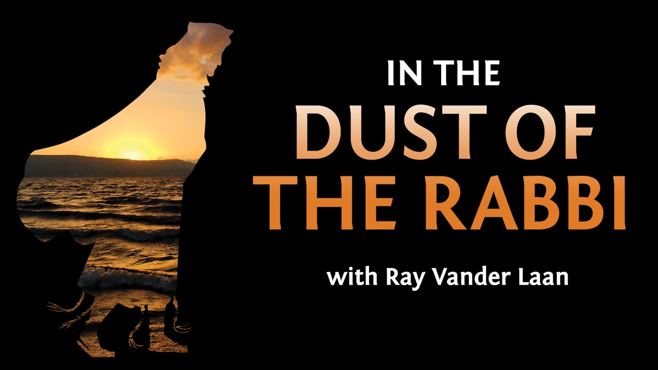 In the Dust of the Rabbi (Ray Vander Laan)