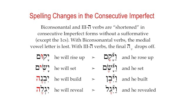 Basics of Biblical Hebrew Video Lectures, Session 17. Waw Consecutive