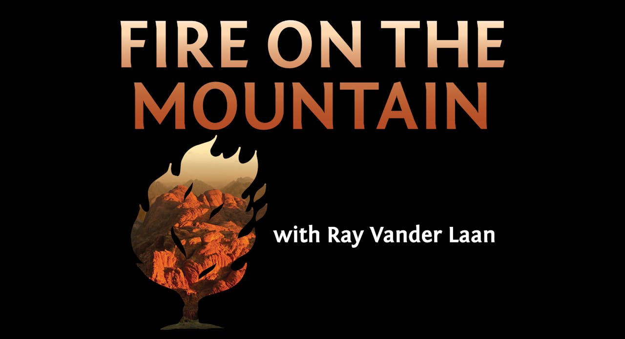 Fire on the Mountain 