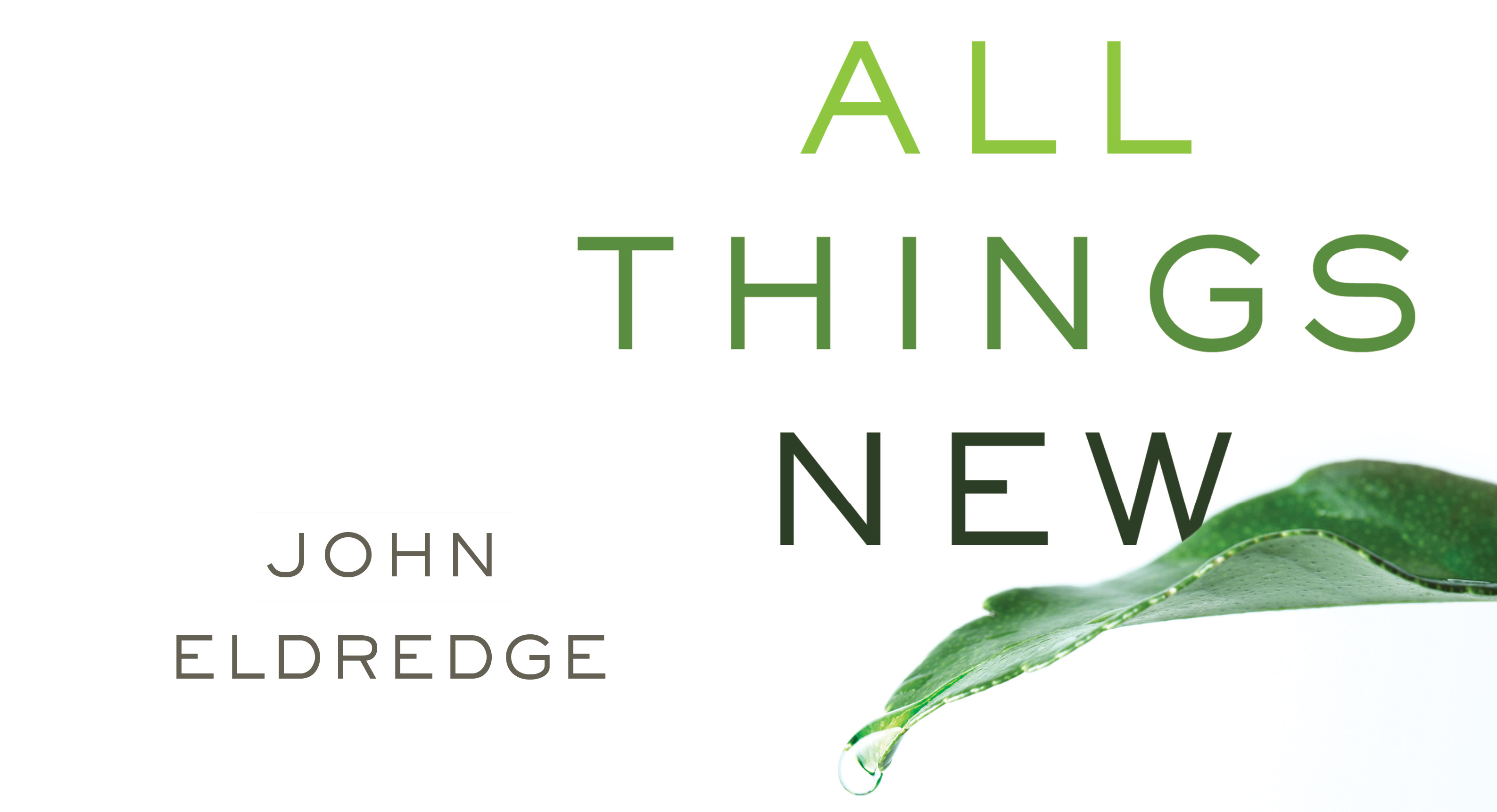 All Things New by John Eldredge