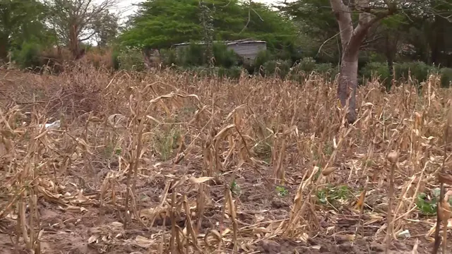 El Niño — O Que Esperar?