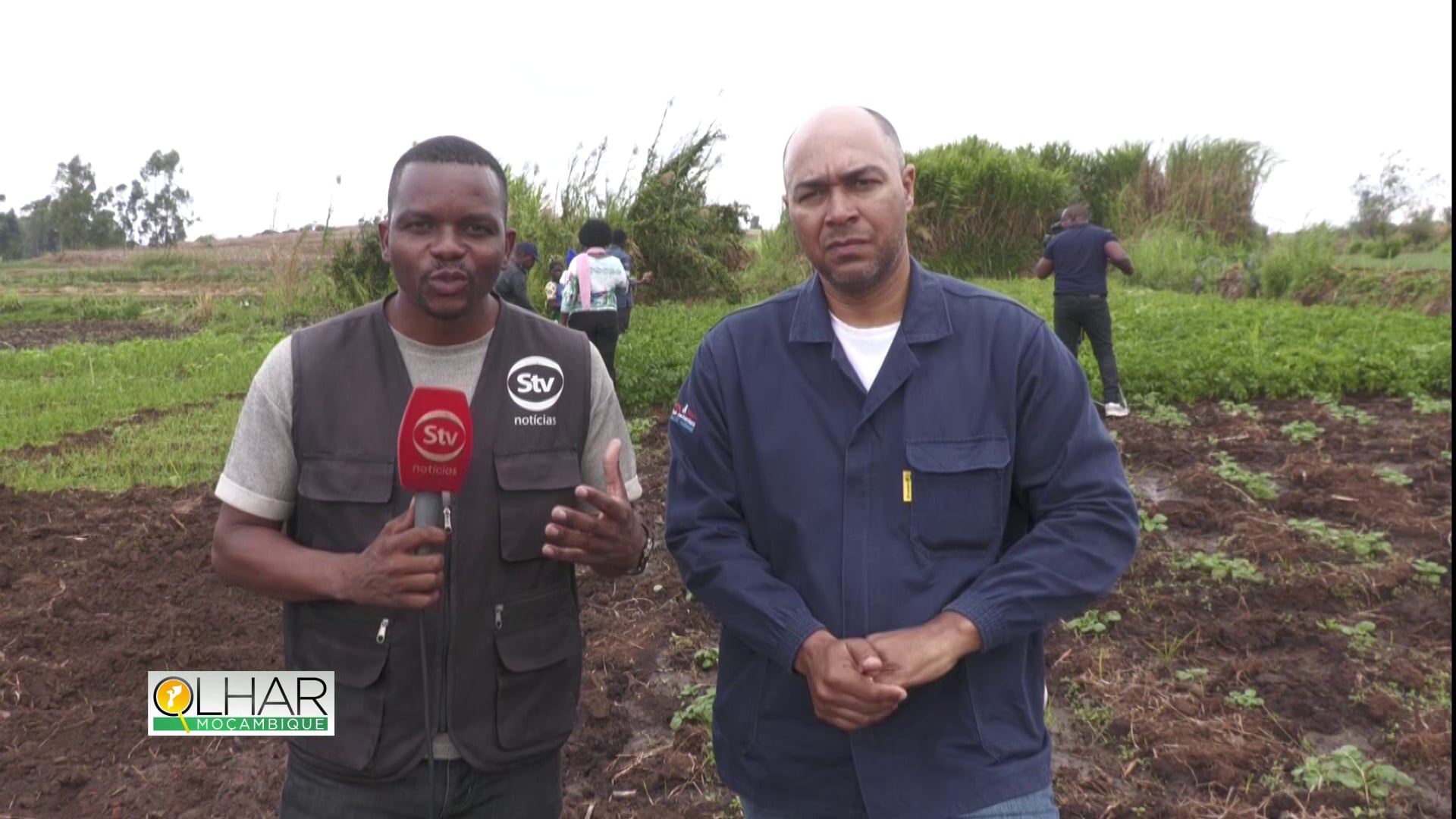 Oportunidades e desafios na agricultura em Tsangano