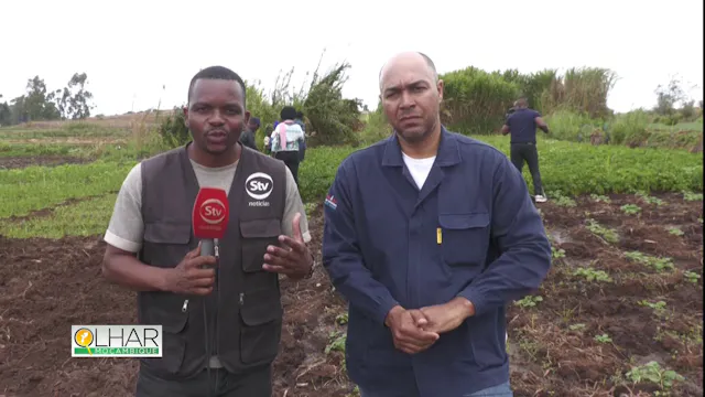 Oportunidades e desafios na agricultu...