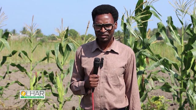 Olhar Moçambique – Uma história de su...