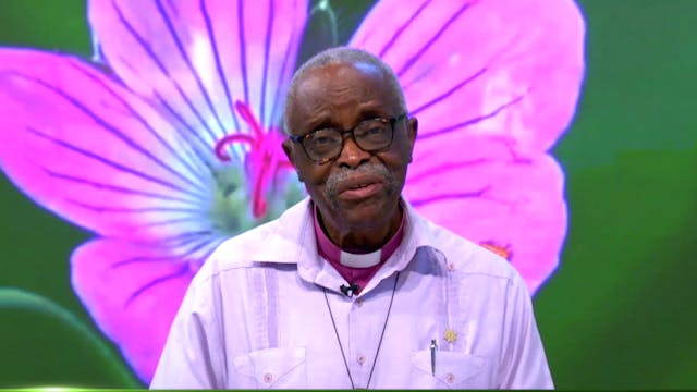 O triângulo da salvação das crianças ...