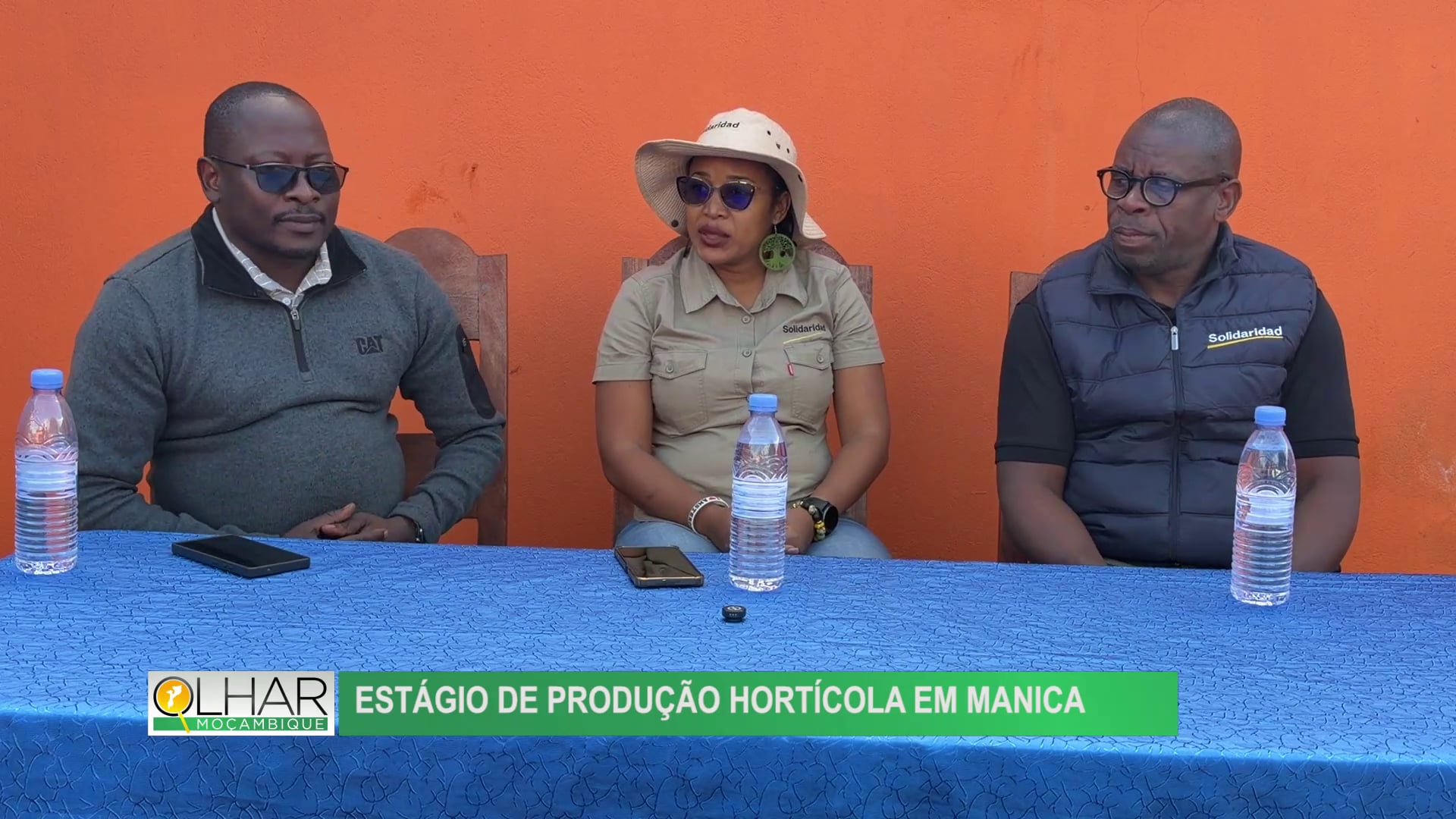 Estágio de produção hortícola em Manica