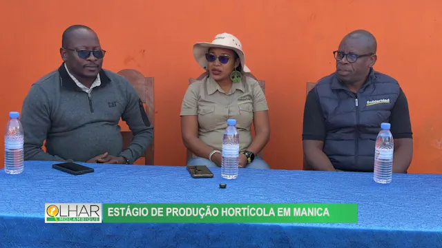Estágio de produção hortícola em Manica