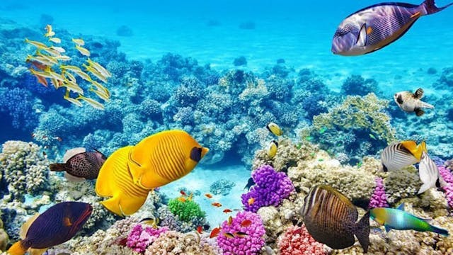 Turismo Sustentável em Moçambique