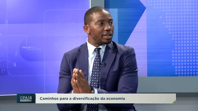 Caminhos para a diversificação da eco...