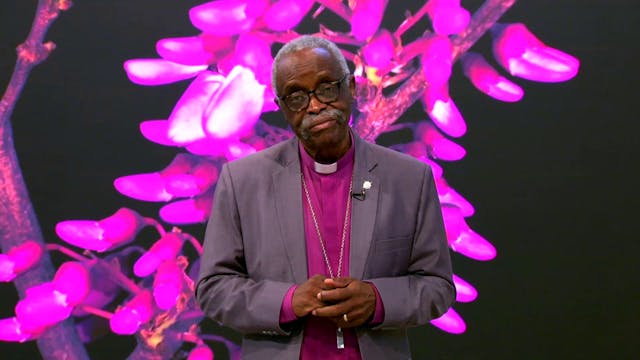 Somos todos irmãos em Cristo