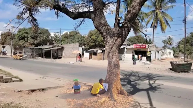 O Menino do Livro e dos Bolinhos