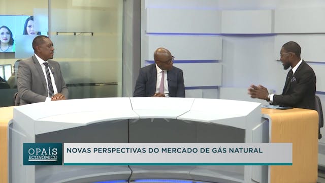 Novas perspectivas do mercado do gás ...