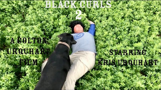 Black Curls 2