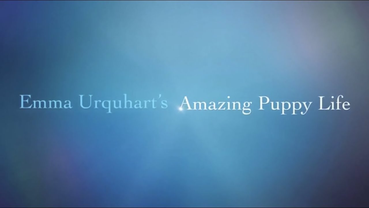 Emma Urquhart's Amazing Puppy Life