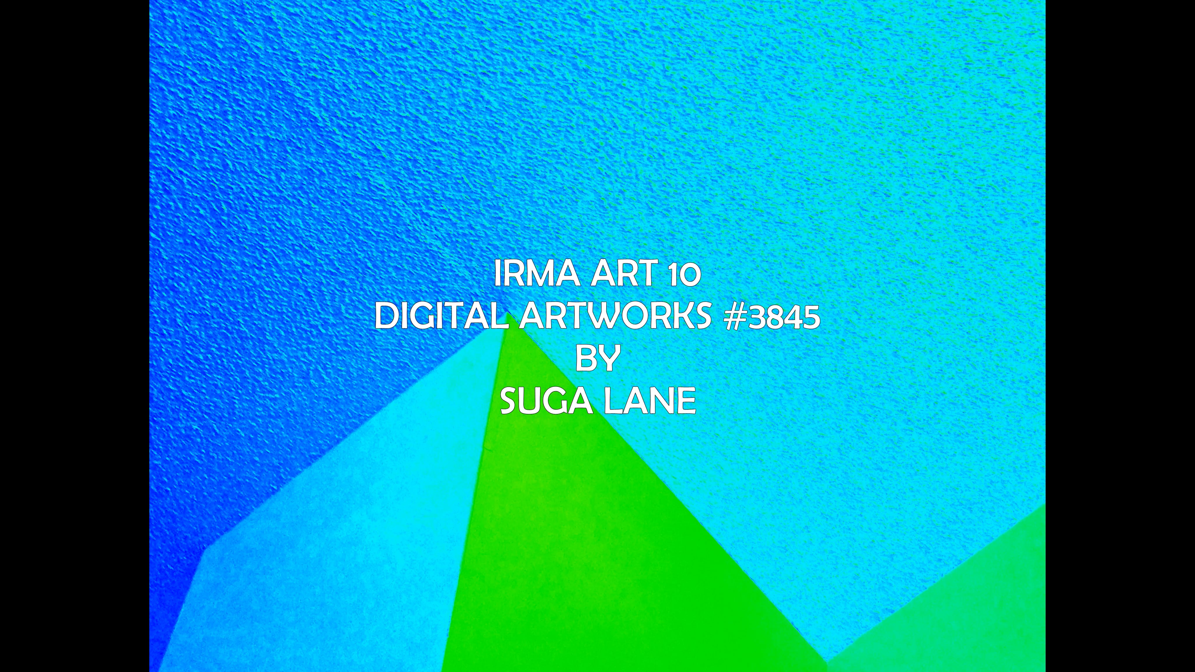 art slideshow irma10 3845