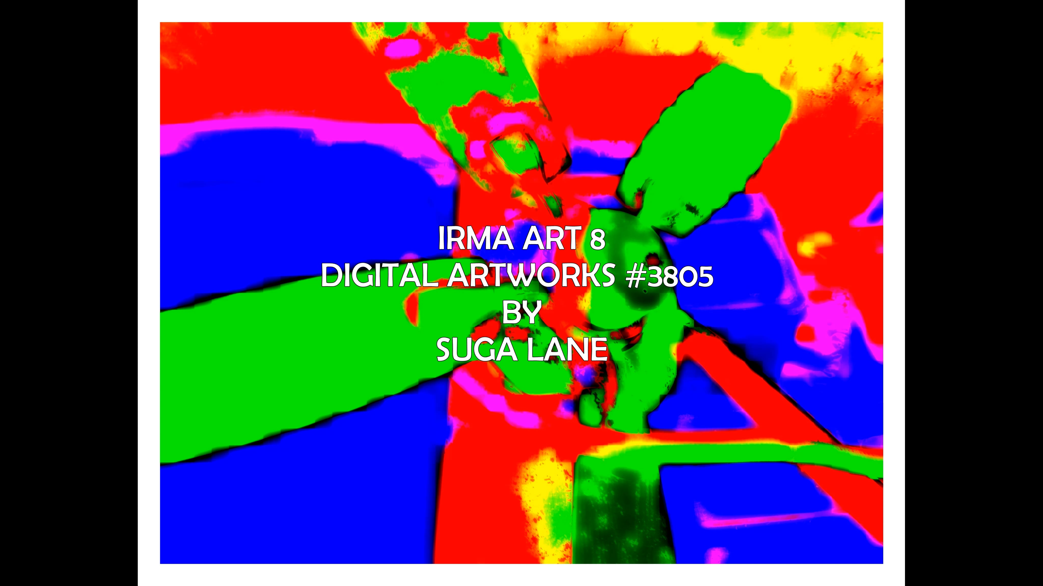 art slideshow irma8 3805