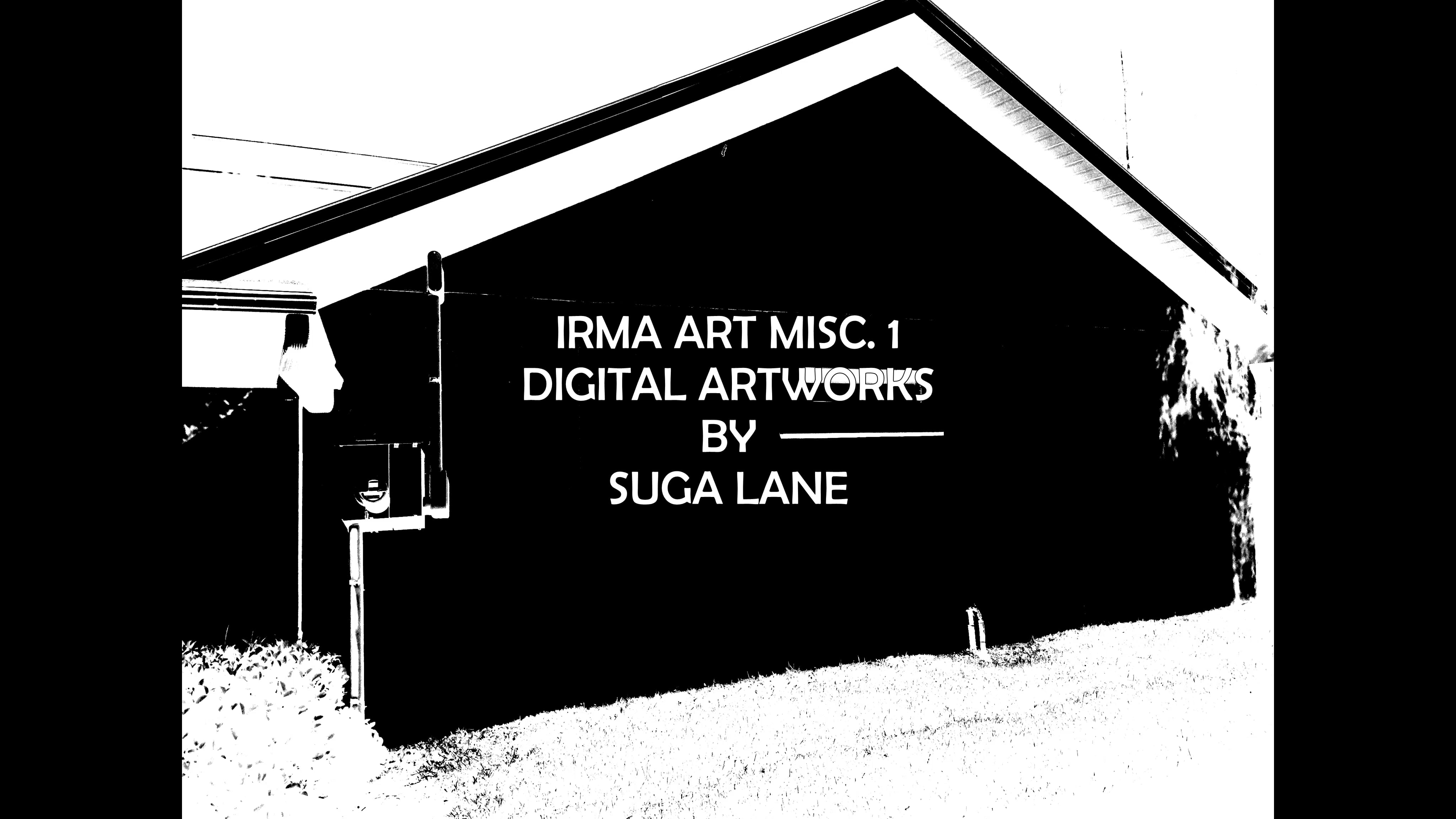 art slideshow 1 IRMA1