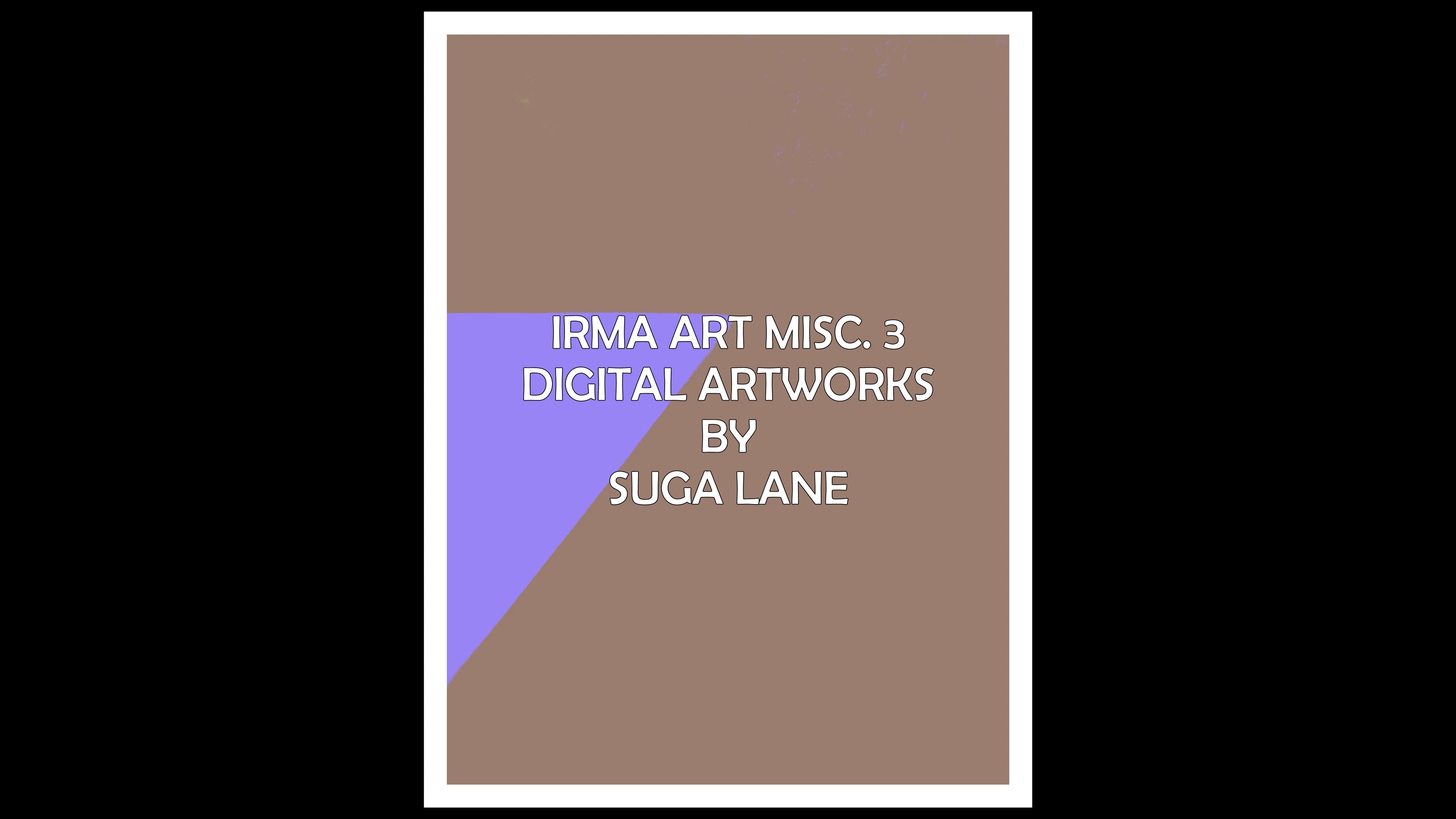 art slideshow irma3 misc
