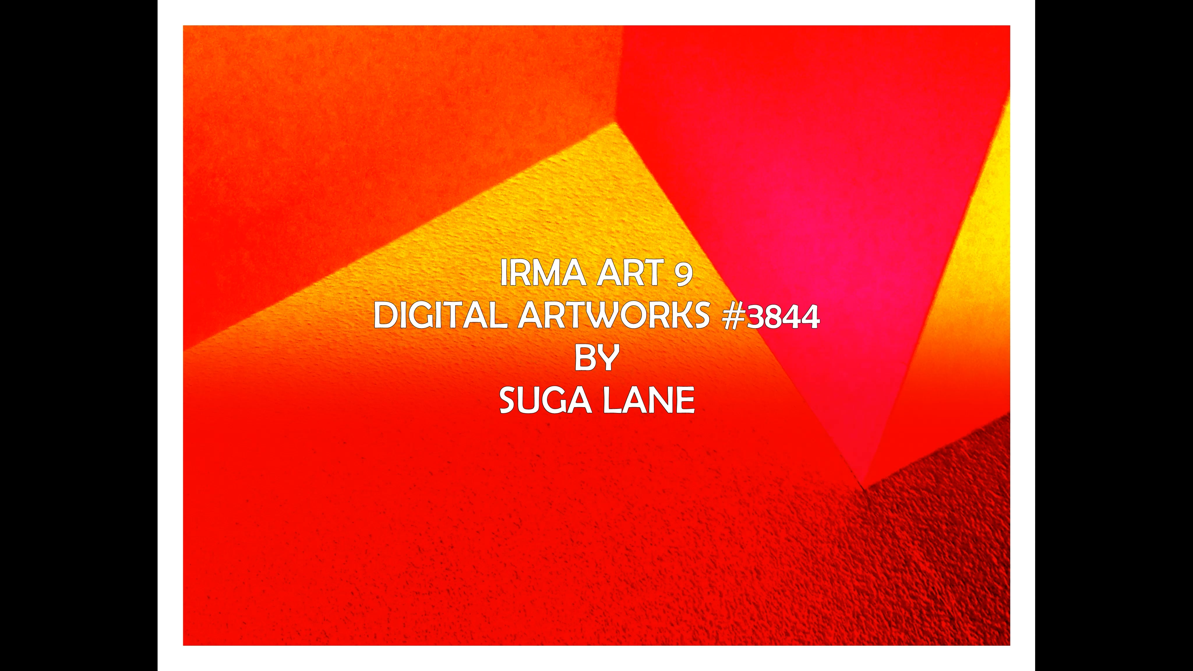 art irma9 3844