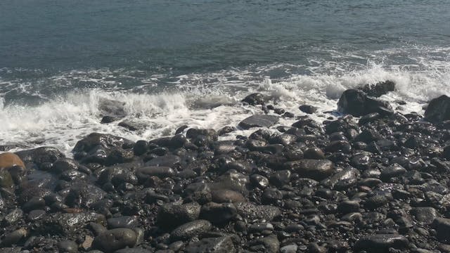 VID_20211102_133218