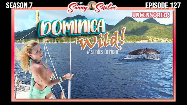 The Sunny Sailor #127 UNCENSORED Dominica WILD! 