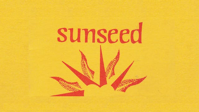 SunSeed - The Journey