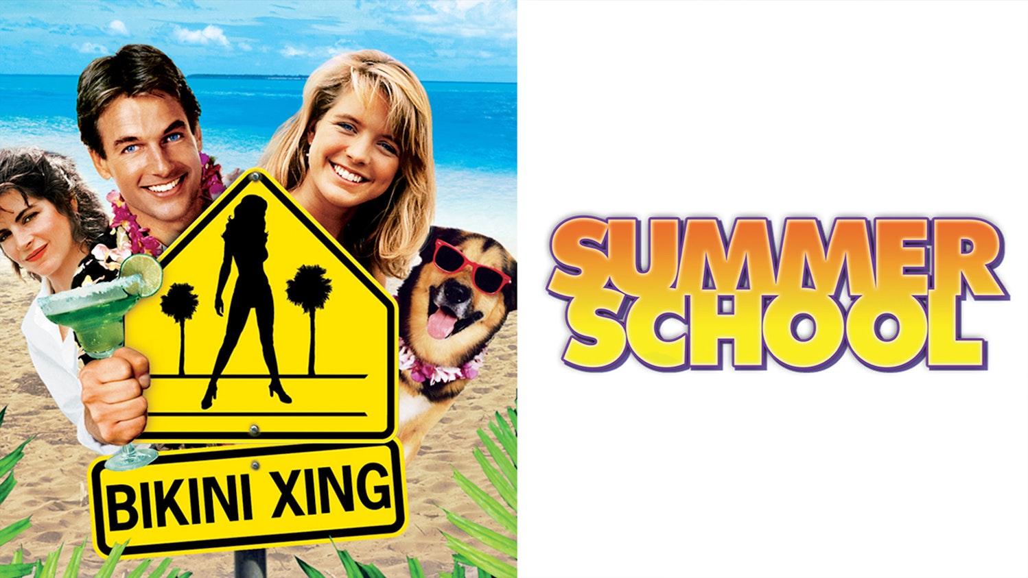 Summer School