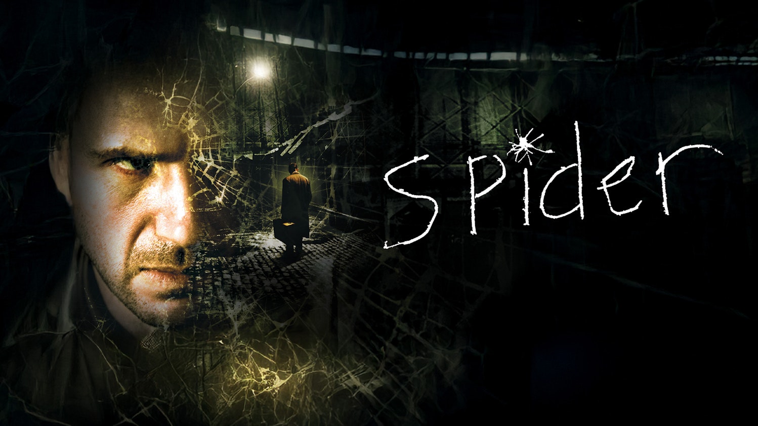 Spider