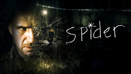 Spider