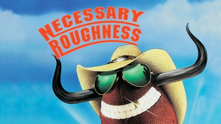 Necessary Roughness