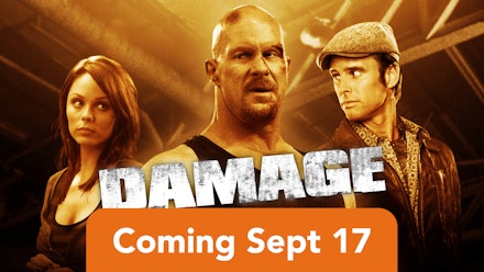 Damage