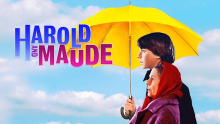 Harold and Maude