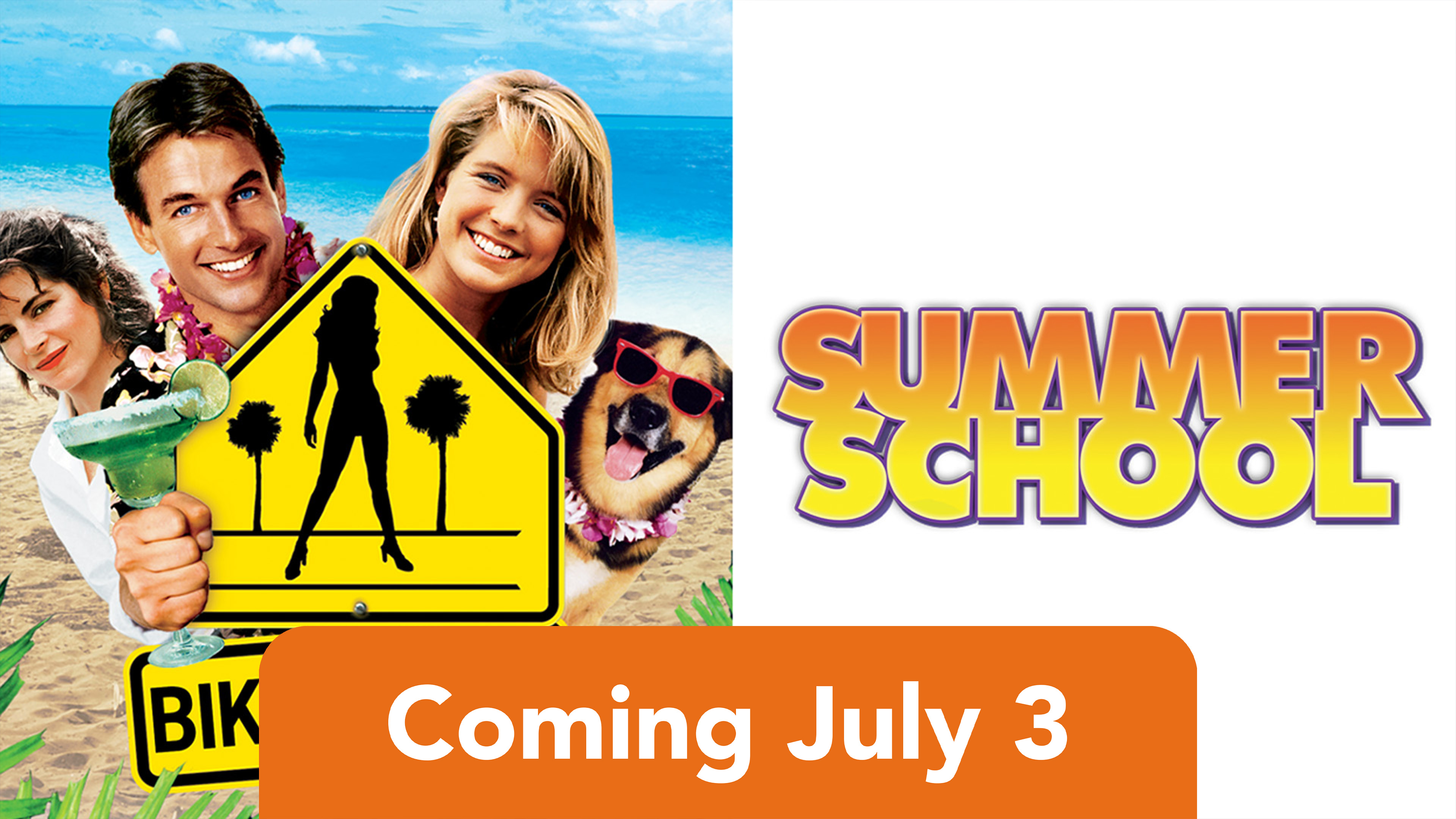 Summer School