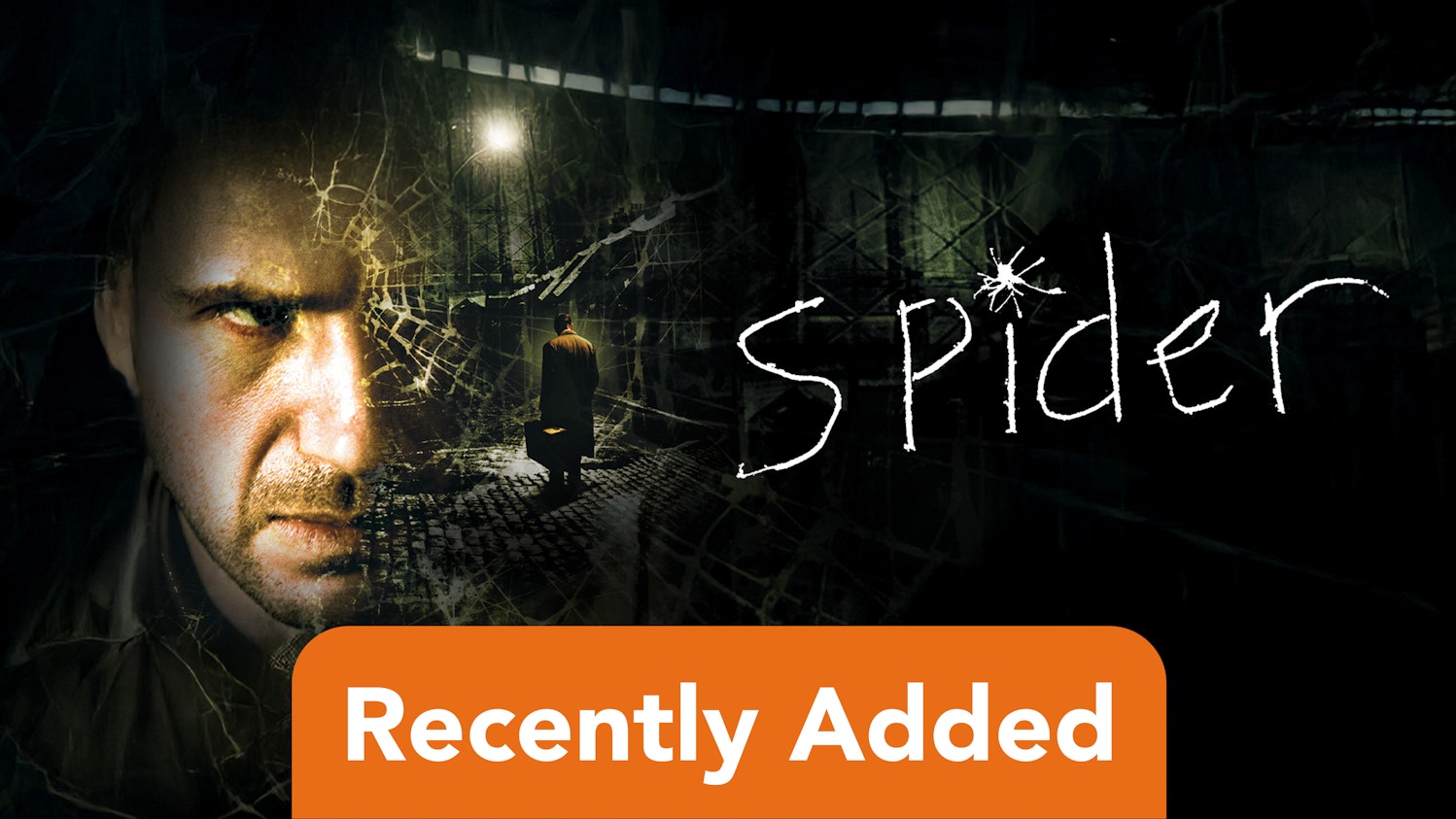 Spider