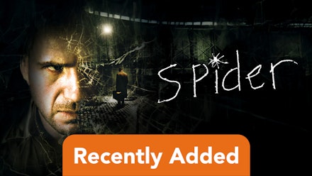 Spider