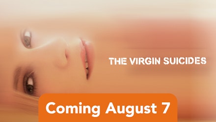 Virgin Suicides; The