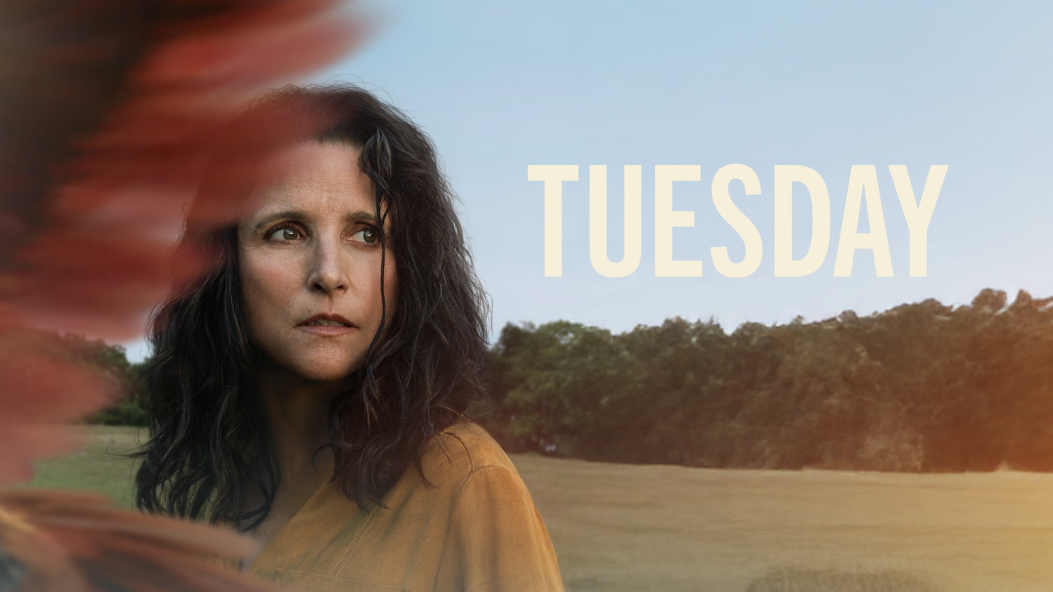 Tuesday