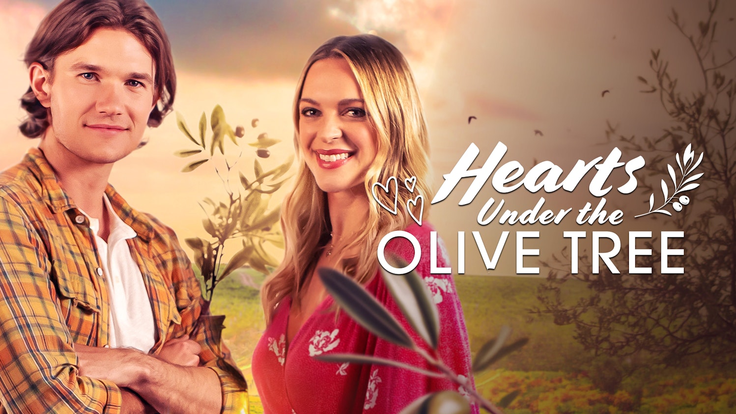 Hearts Under the Olive Tree